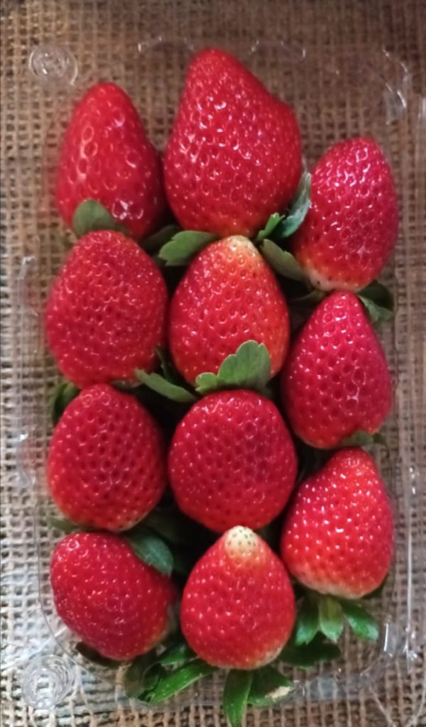 Strawberry - Image 2