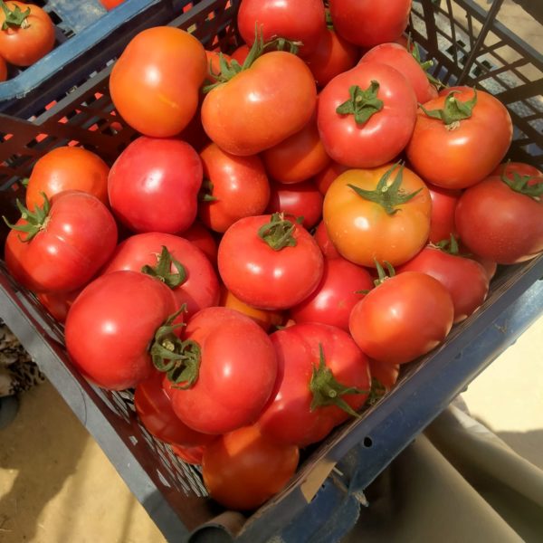 Cherry tomatoes