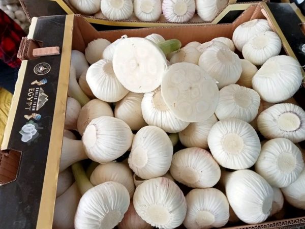 White garlic