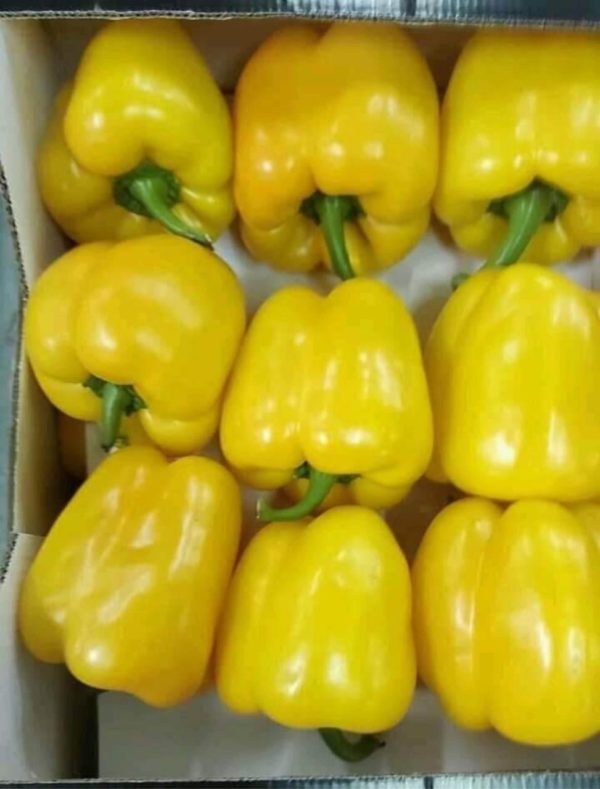 Yellow pepper