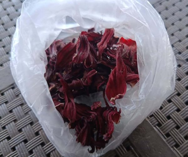 Hibiscus - Image 2