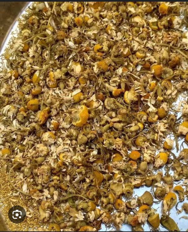 Chamomile