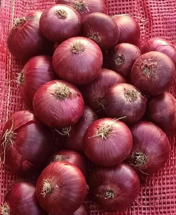 Red onion