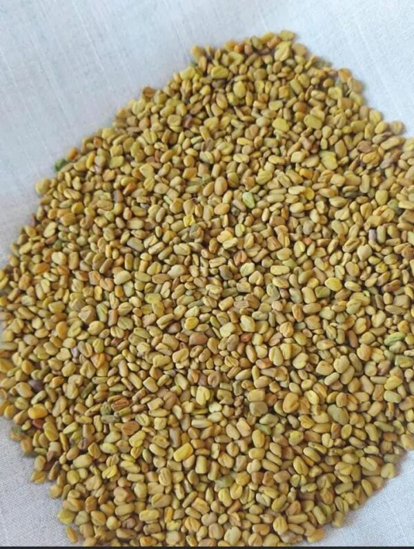 Fenugreek Seeds