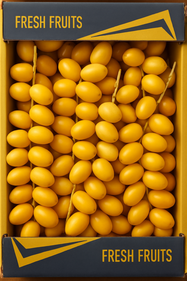 Premium Dates – Natural Sweetness and Nutrition in Every Bite