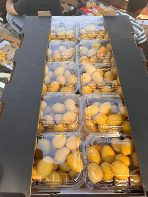 Premium Dates – Natural Sweetness and Nutrition in Every Bite - Image 2