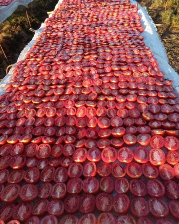 Premium Sun-Dried Tomatoes – Intensely Flavorful & All-Natural