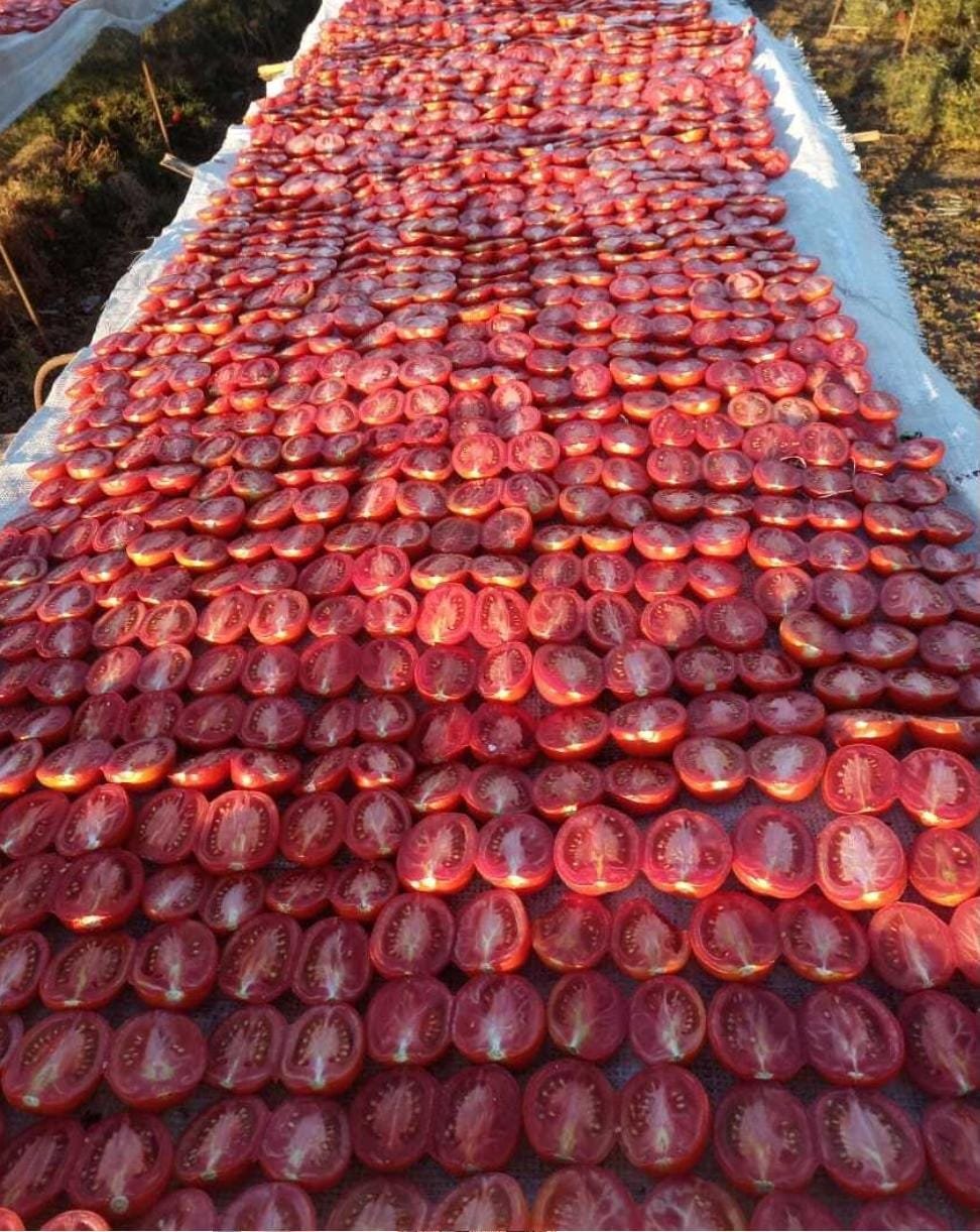 Premium Sun-Dried Tomatoes – Intensely Flavorful & All-Natural