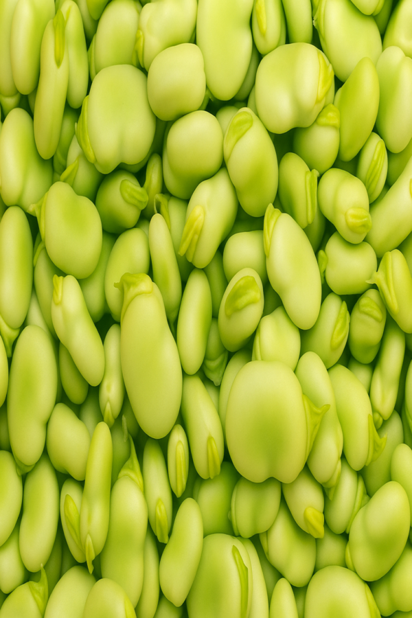 Frozen Green broad Beans – Wholesome, Hearty & 100% Natural