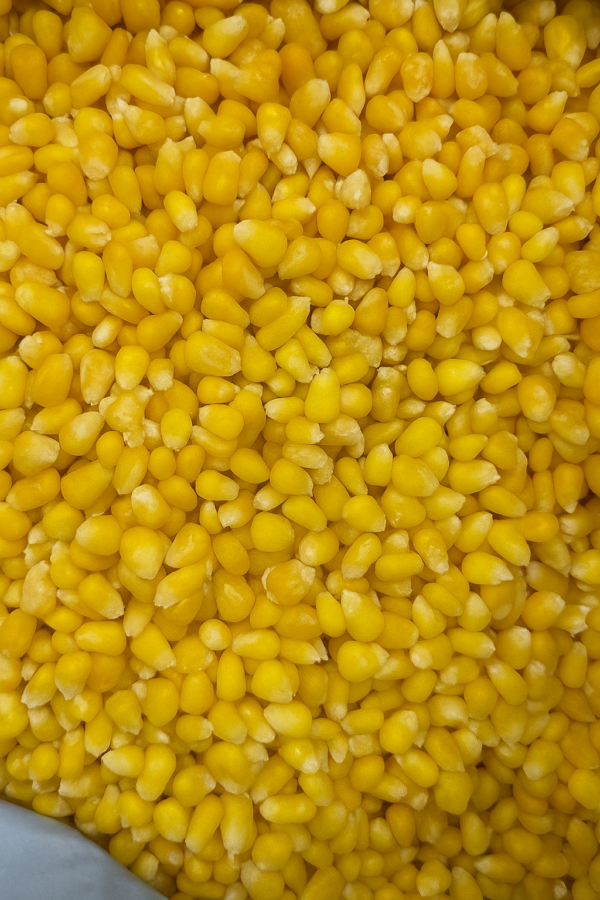 Frozen Sweet Corn – Premium Frozen Sweet Corn Kernels, Fresh and Ready to Use