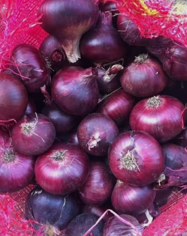 Premium Fresh Red Onion – Naturally Grown, Rich Flavor & Farm-Fresh Quality - Image 2