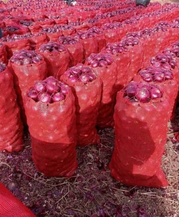 Premium Fresh Red Onion – Naturally Grown, Rich Flavor & Farm-Fresh Quality - Image 3