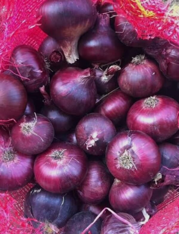 Premium Fresh Red Onion – Naturally Grown, Rich Flavor & Farm-Fresh Quality - Image 4