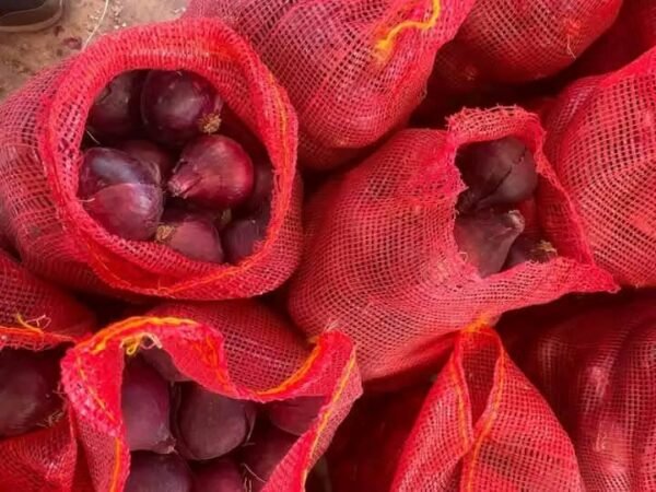 Fresh Organic Onion – Premium Quality Onions for Cooking, Salads & Health Benefits - Image 5