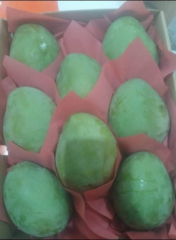 Premium Mango Delight – Naturally Sweet and Sun-Ripened Mangoes - Image 5